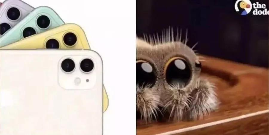 苹果浴霸摄像头掉了,苹果浴霸摄像头是苹果第几代