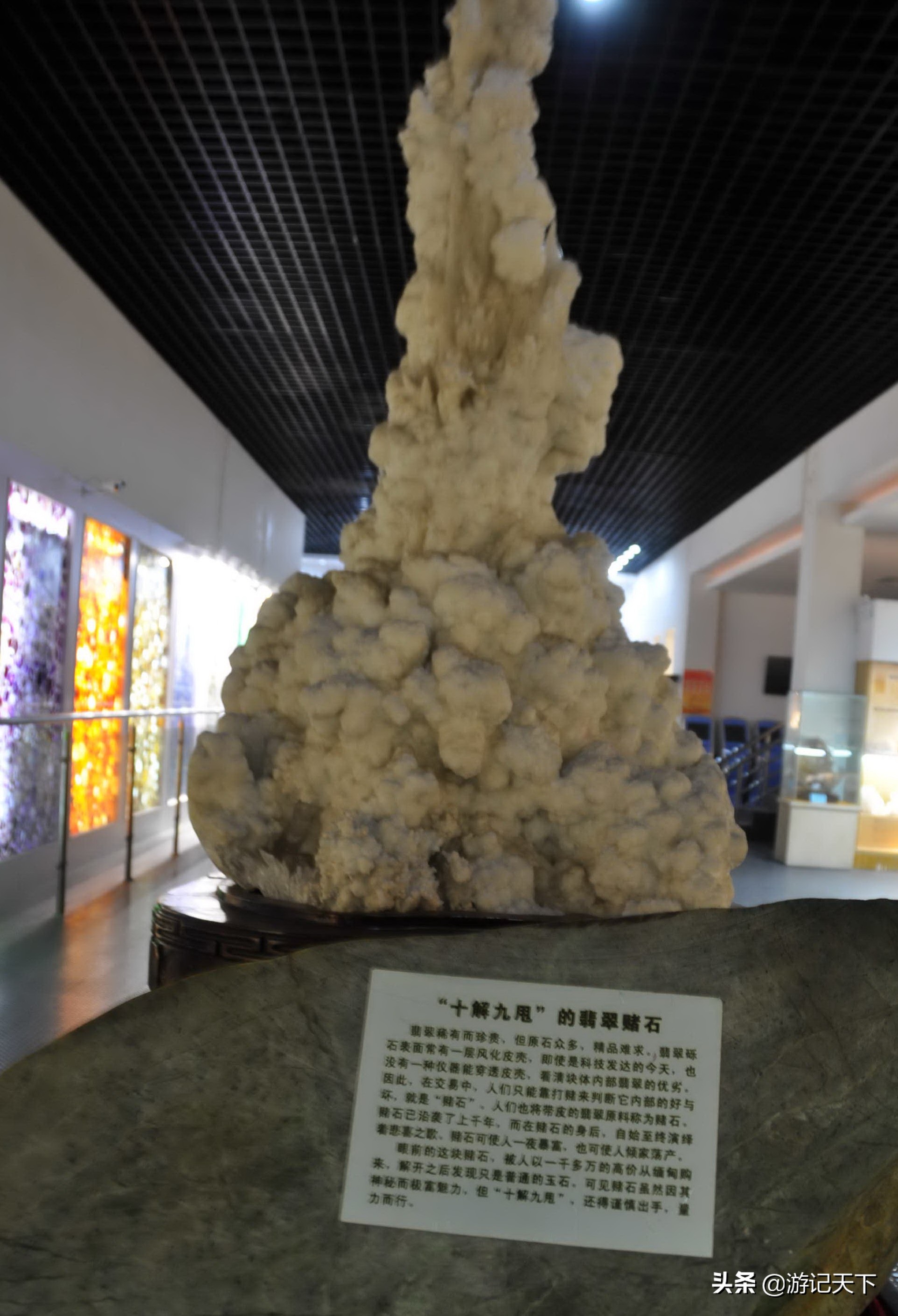 阿尼亚参观博物馆,上海地质科普馆游玩