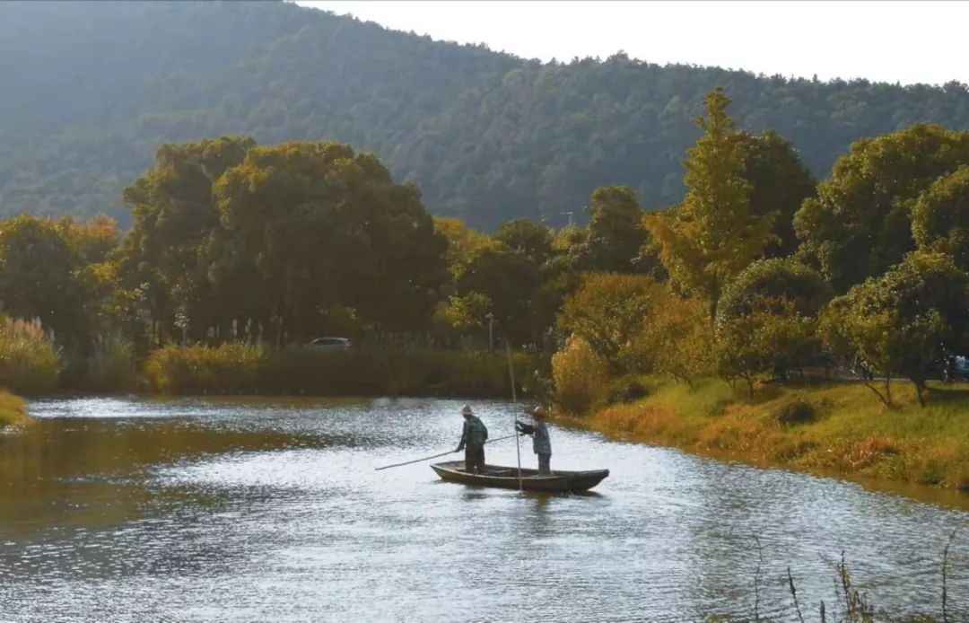 苏州工艺美院,苏州工艺美院代码