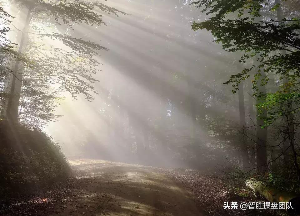 万般滋味皆是生活丰子恺,丰子恺万般滋味皆是生活作品简介