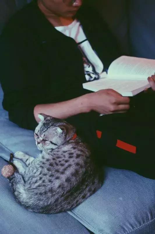 拒绝“人从众”！这个国庆必须到都江堰耍个“懒”，老街茶房、泥塑木作、古园书屋，快来享受你的小闲趣~