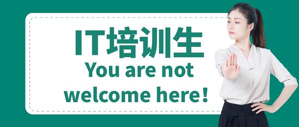 it培训机构老师实力,it培训机构都学的什么内容
