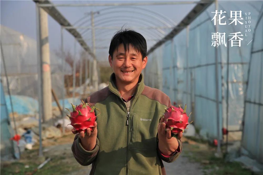 农业十个投资九个坑,农业有很多坑