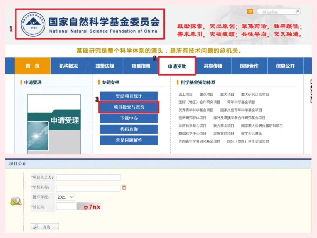 怎么查询导师的信息,如何查导师信息