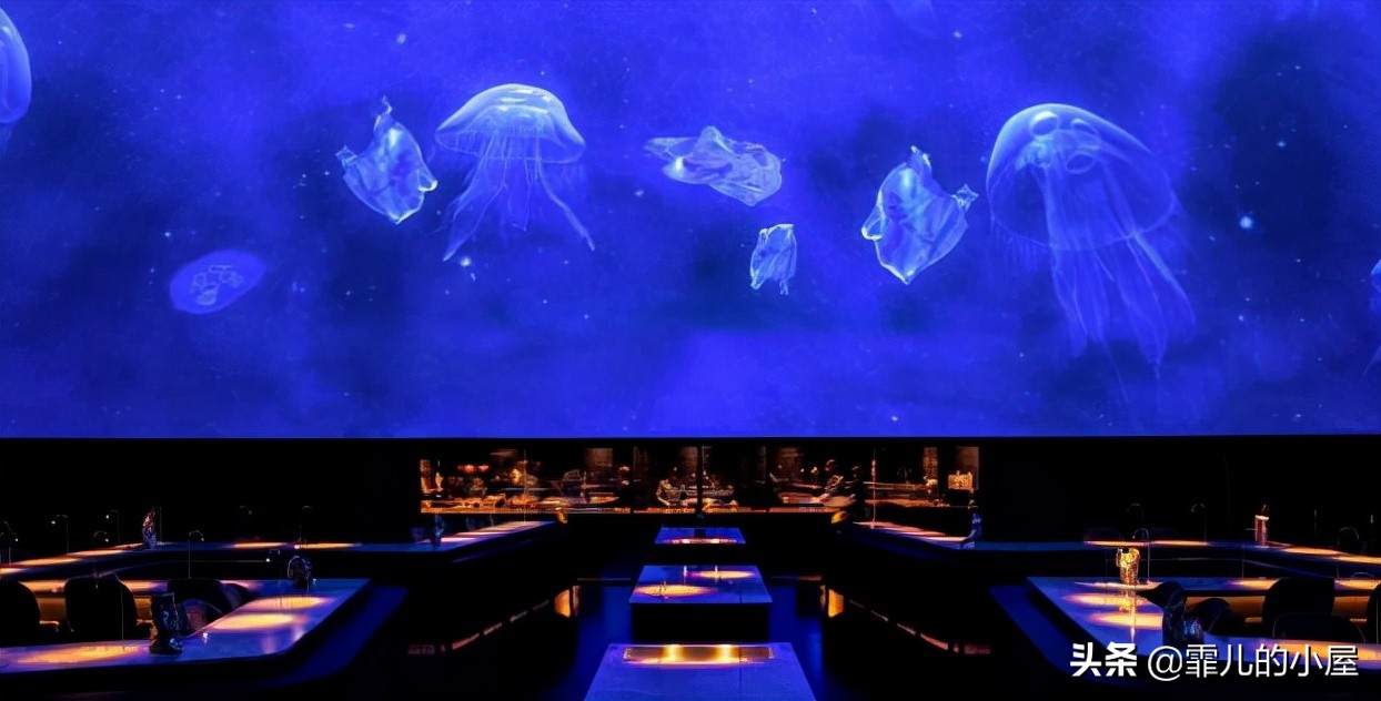 两年都预定不到座位的黑暗料理餐厅“炼金术士”，生吞金鱼的吃货