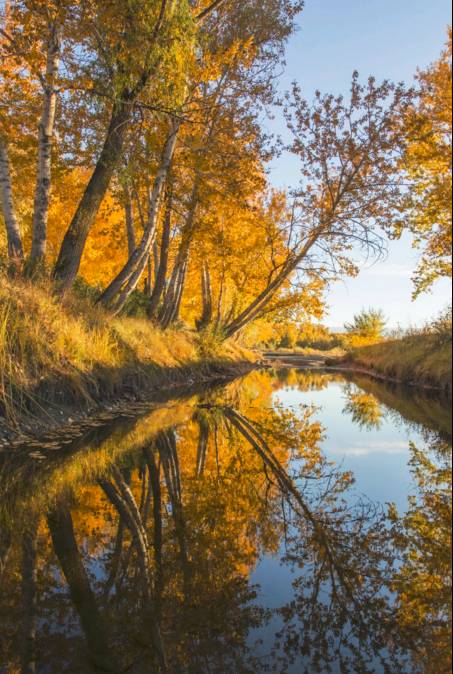 阿勒泰秋季旅行,新疆旅行阿勒泰秋天