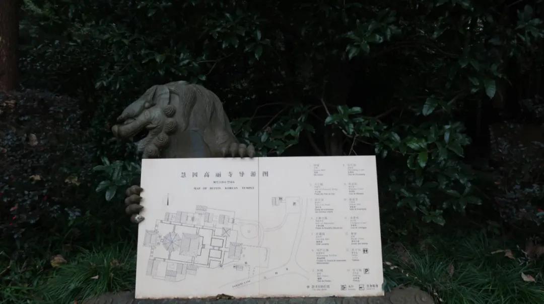 杭州西湖3天2晚自由行攻略,24小时杭州之旅