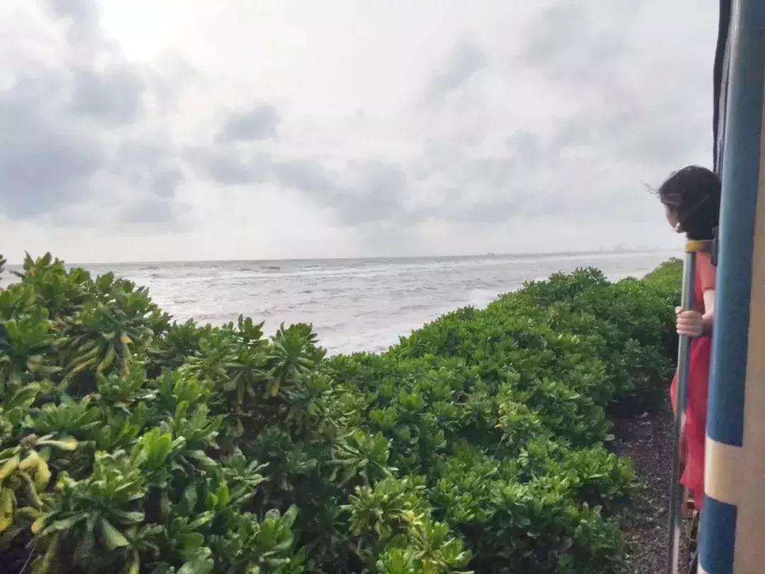 一生必去一次的神奇国度，榴莲白菜价，还有千与千寻里的海上火车