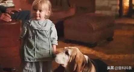 家长别再无知害了孩子,别让朋友圈毁了你的一生