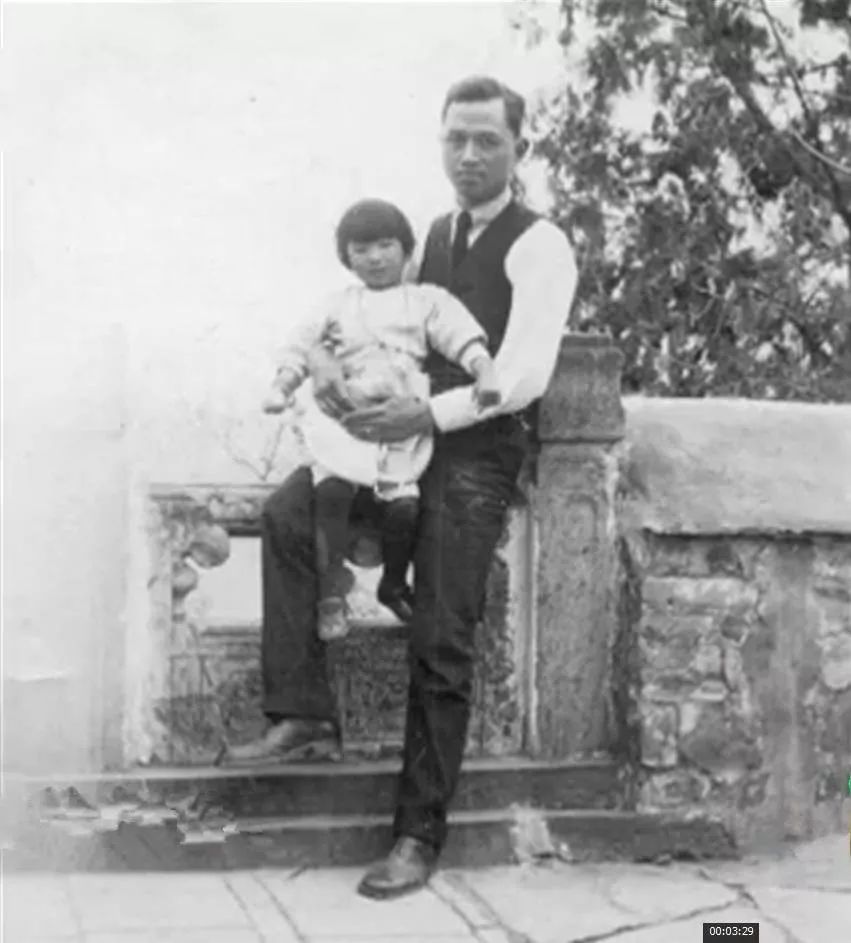 丧偶式婚姻必将迎来丧子式的教育,丧偶式婚姻丧偶式教育