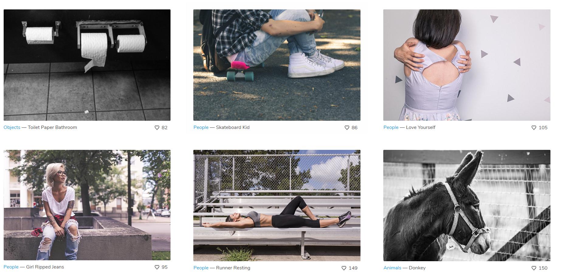 花瓣碎裂的素材,花瓣碎了素材