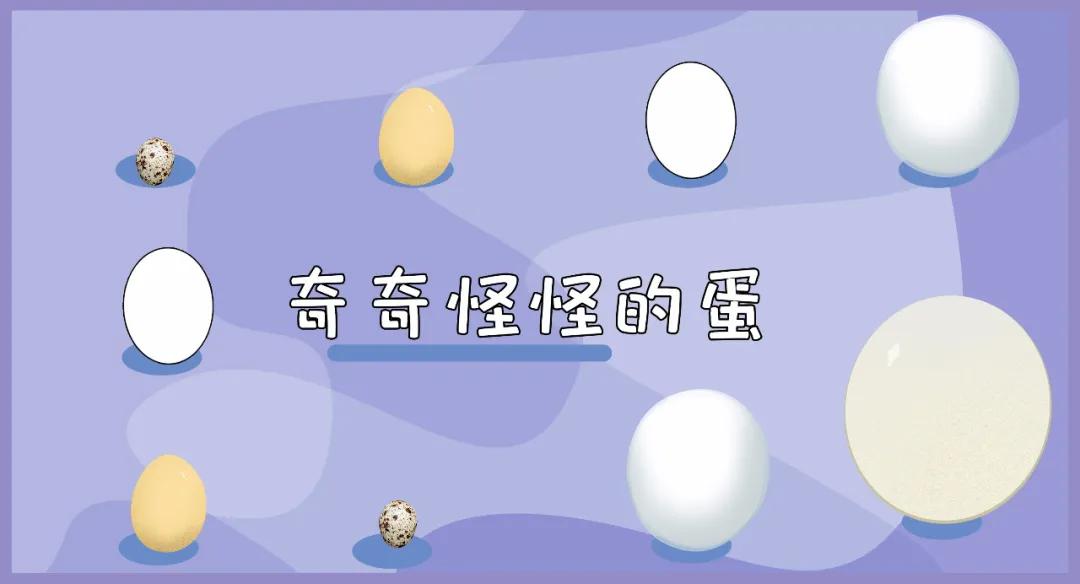 鸡蛋鸭蛋鹅蛋鹌鹑蛋哪个最有营养,鹅蛋鸭蛋鸡蛋鹌鹑蛋哪种营养丰富