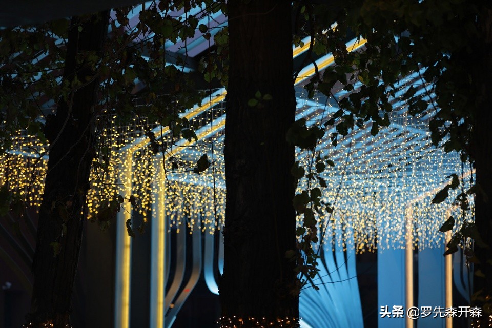 长春万科城三期装修效果图,万科蓝山社区效果图