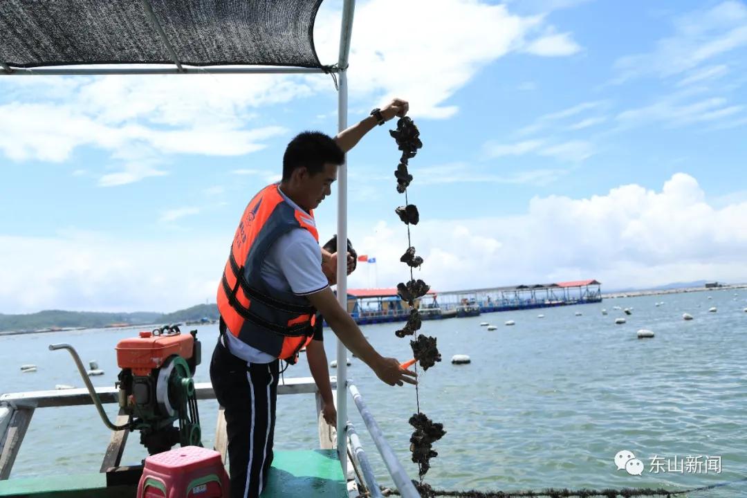 海上去哪玩,东山岛海边哪里有螃蟹抓