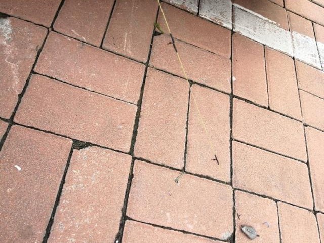 抛竿配合串钩的正确打开方式,抛竿串钩钓白条正确使用方法