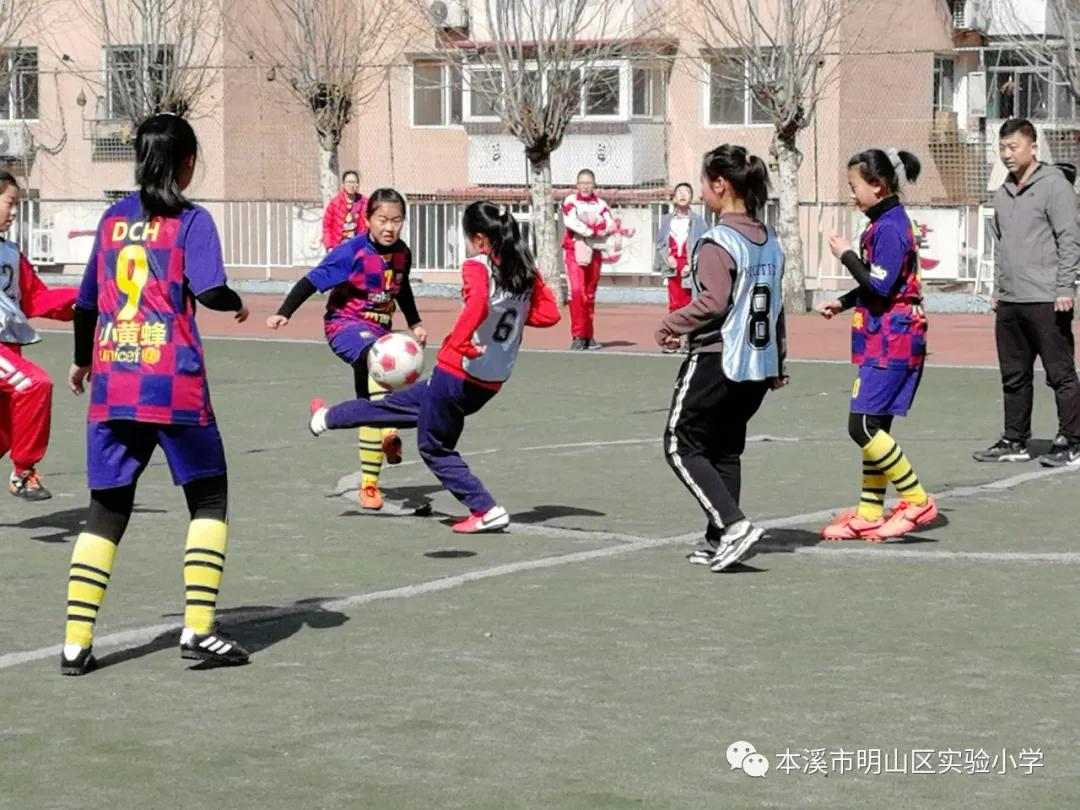本溪市溪湖区小学生足球联赛,本溪市小学足球联赛视频