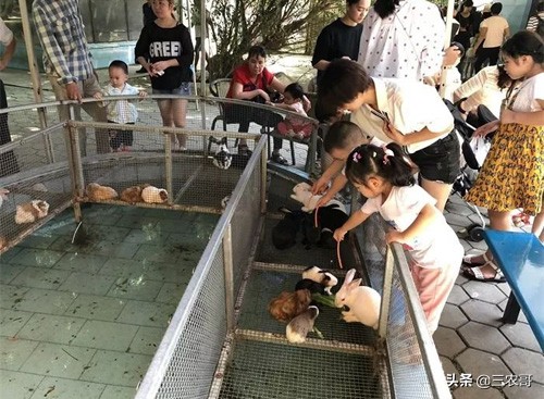 在农村赚钱门路很多,农村20万的生意