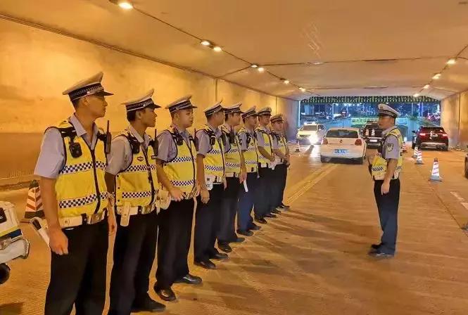 桂林一晚查获38只醉猫”，这种行为等于谋杀！