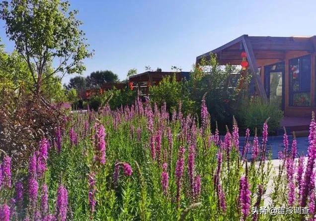 长春风景美的地方,长春最美的十大景点