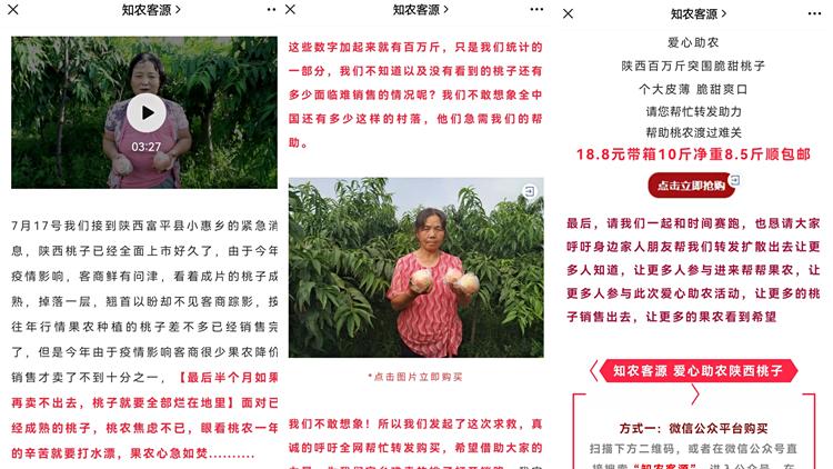 陕西桃子滞销事件,陕西桃子滞销