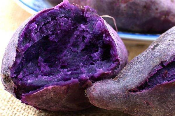 绿色农业种植技术和发展前景,农业种植什么项目前景好赚钱多