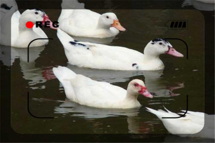 为什么不起眼的项目反而赚钱,为什么不起眼的工作反而赚钱