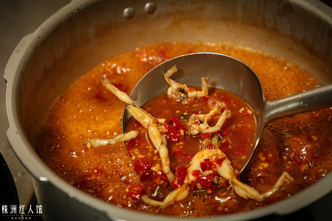 神经哥回归过程,神经哥原唱歌曲