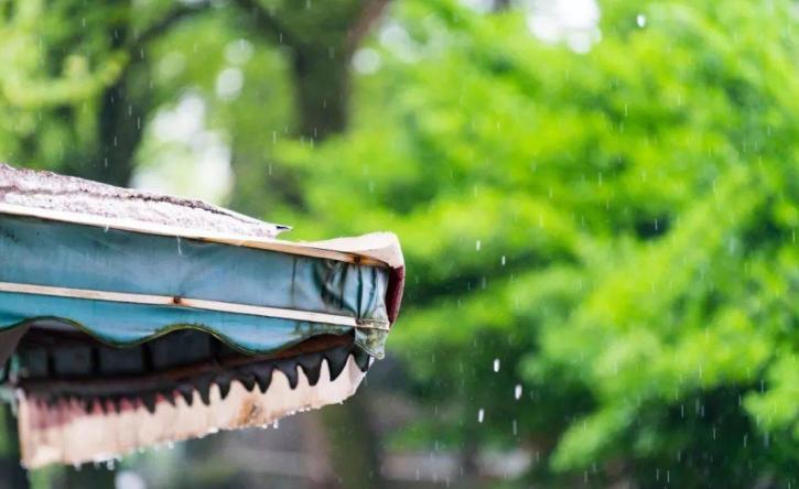 诗词好雨知时节,《春雨》诗词品读