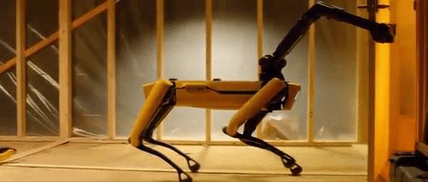 50万一只的波士顿机器狗,中国购买的波士顿机器狗