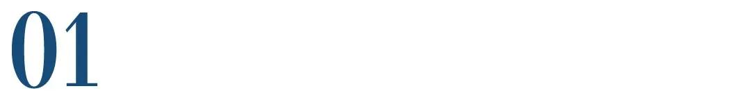 宠物产品商标怎么定性,最新宠物品牌侵权纠纷