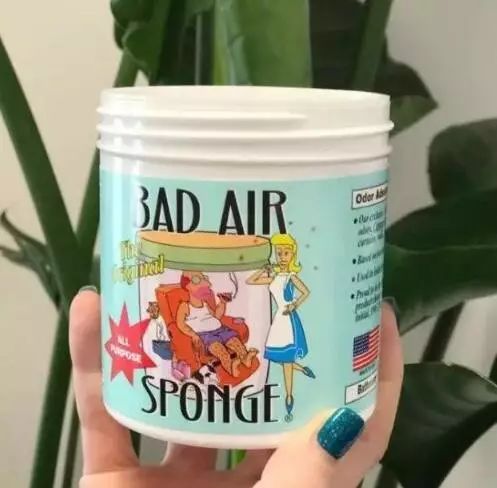 德国十大品牌的空气净化器,大自然的空气净化器