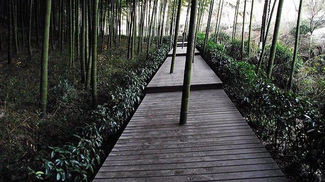 宜兴竹海山顶华南第一峰,宜兴华东第一竹海