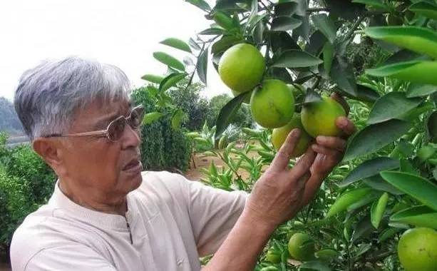 学会花钱的最佳方法,学会花钱的原则