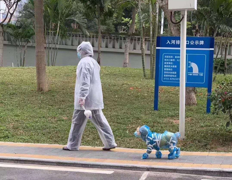 滴滴网约车加装口罩违法吗,滴滴网约车限制城市