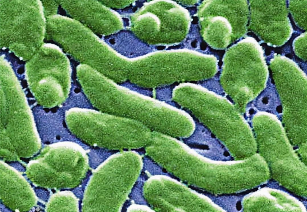 胖哥俩爆出大量使用过期食品,坏胖哥俩肉蟹煲大量使用过期食材