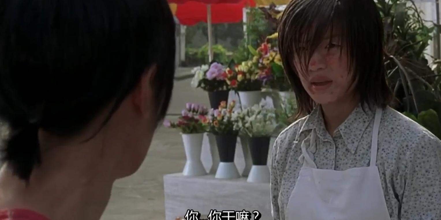 少林足球背后的辛酸,少林足球20