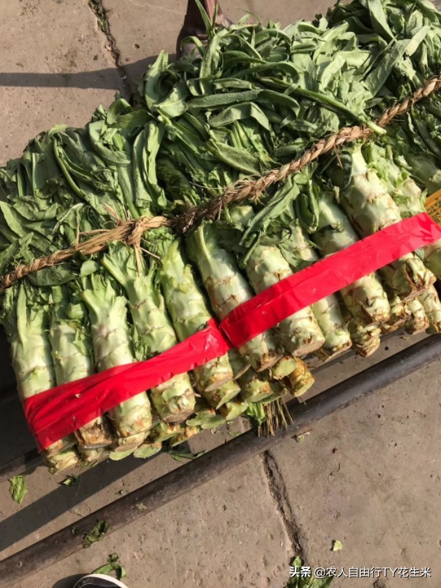 濮阳万邦国际农产品果蔬批发市场,万邦2023年10号果蔬价格