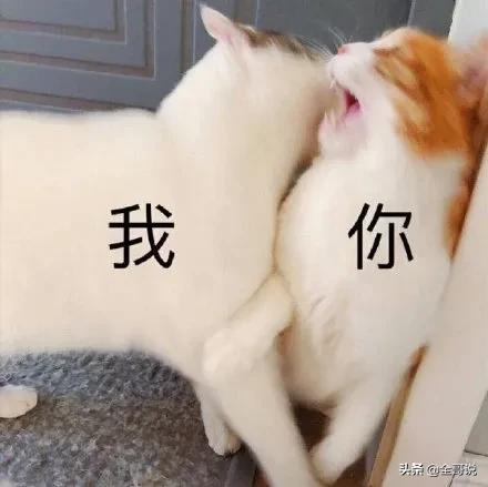 为什么男生kiss不闭眼,为什么男生kiss不闭眼就是渣男