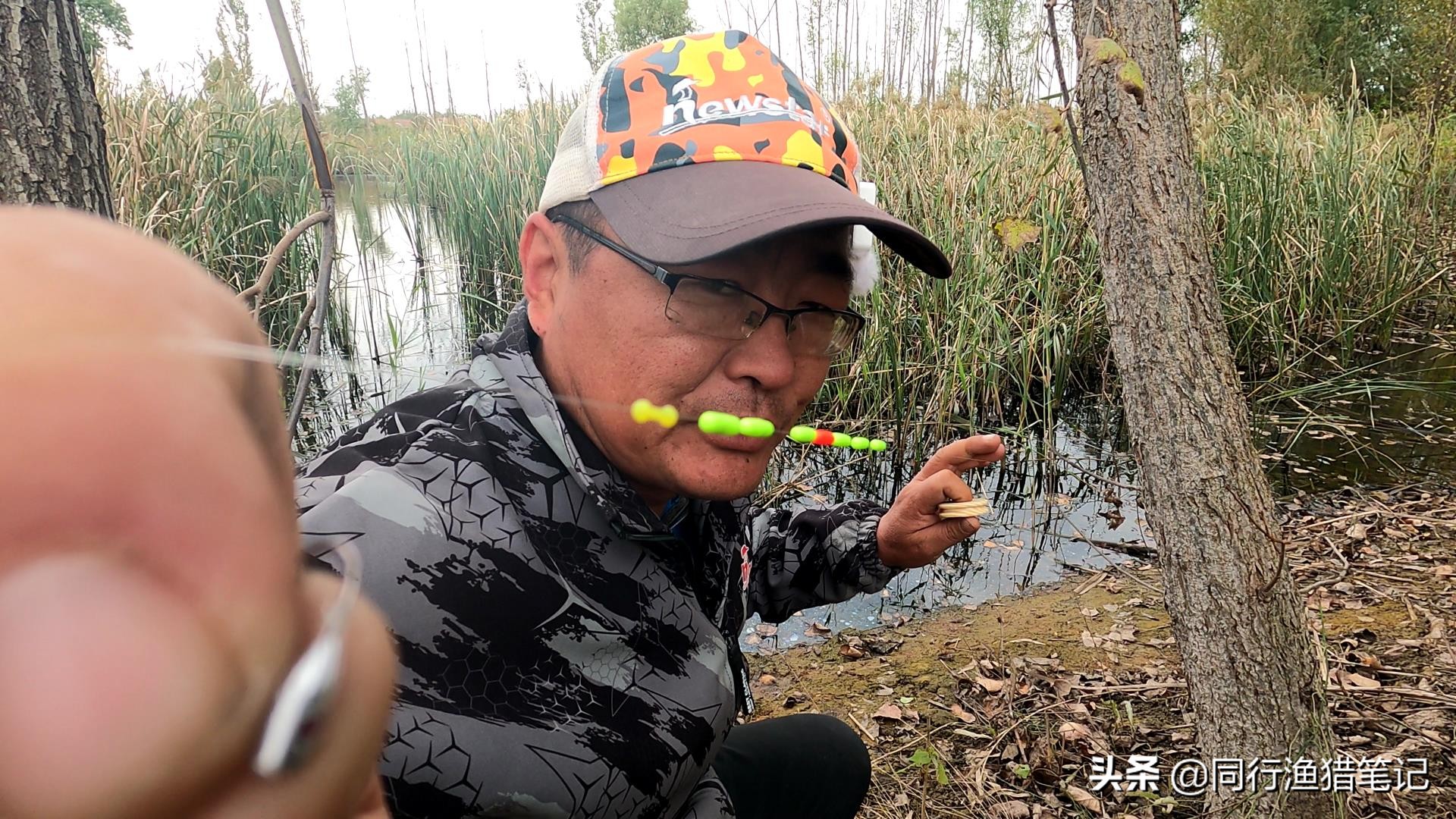 天冷七星钩拉白条,天冷七星漂鱼钩要用小一点的吗