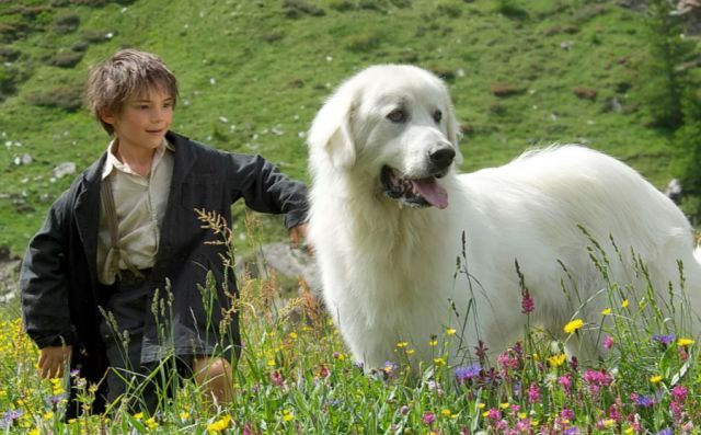 背负着“野人”名号，与野兽为友，一个8岁的孩子经历了什么？