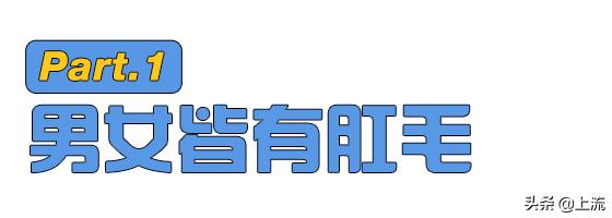有的人头顶没头发,有的人头发很少但是不脱发