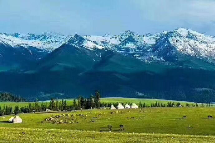 环游之旅新疆,北疆环线喀纳斯赛里木湖8日游