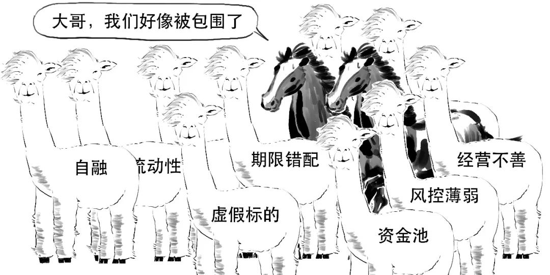 p2p新手必杀技,p2p最强出局方法