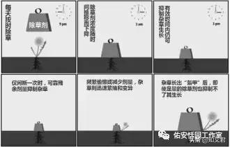 hiv做手术忘记按时服药了该怎么办,hiv感染者应该做什么工作