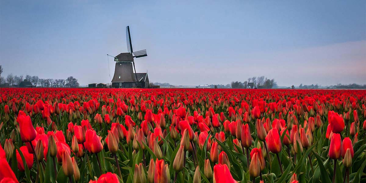 畅玩攻略青岛,欧洲申根旅游签证好下签吗