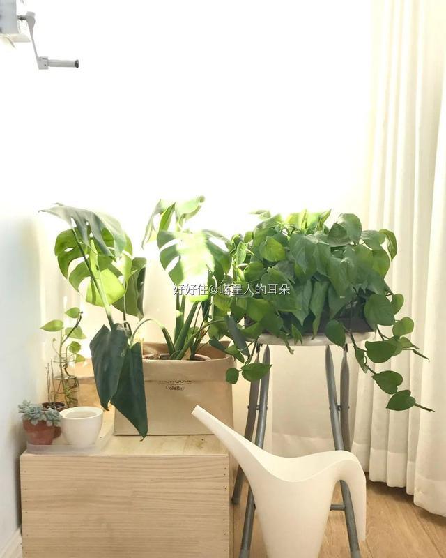 宜家100元以内清单,宜家厨房好物排行榜前十名