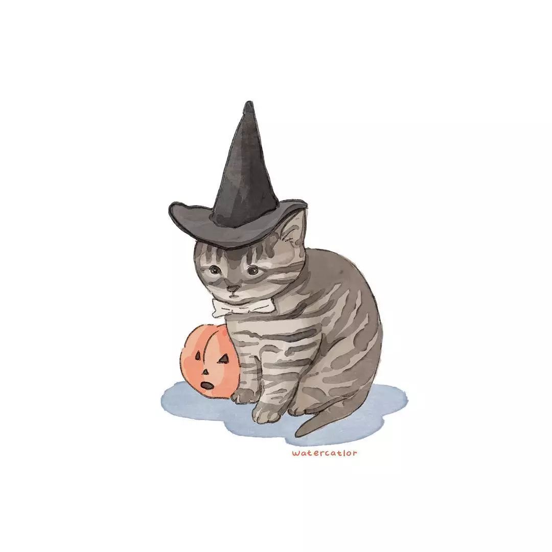 猫是液体的证据找到了吗,猫难道真的是液体吗