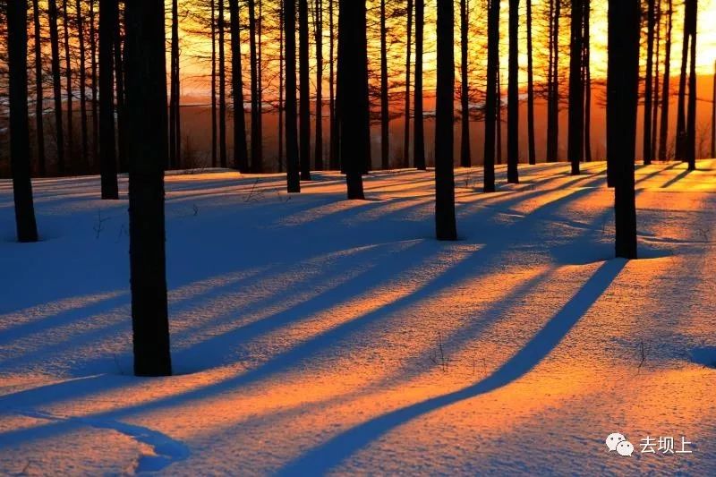 坝上摄影攻略,坝上夏季摄影