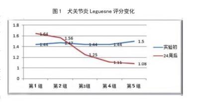 动物用的玻尿酸食品,玻尿酸宠物粮