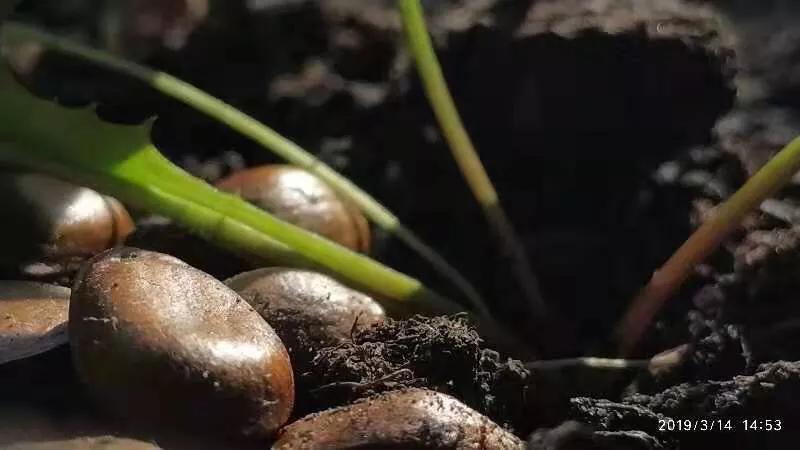 手拍世界近期作品,手拍世界微信公众号